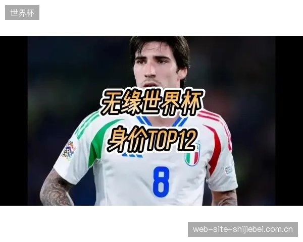 世界杯是年轻球员提升身价的最佳舞台，奥地利阵中多位新星的表现将备受球探关注。